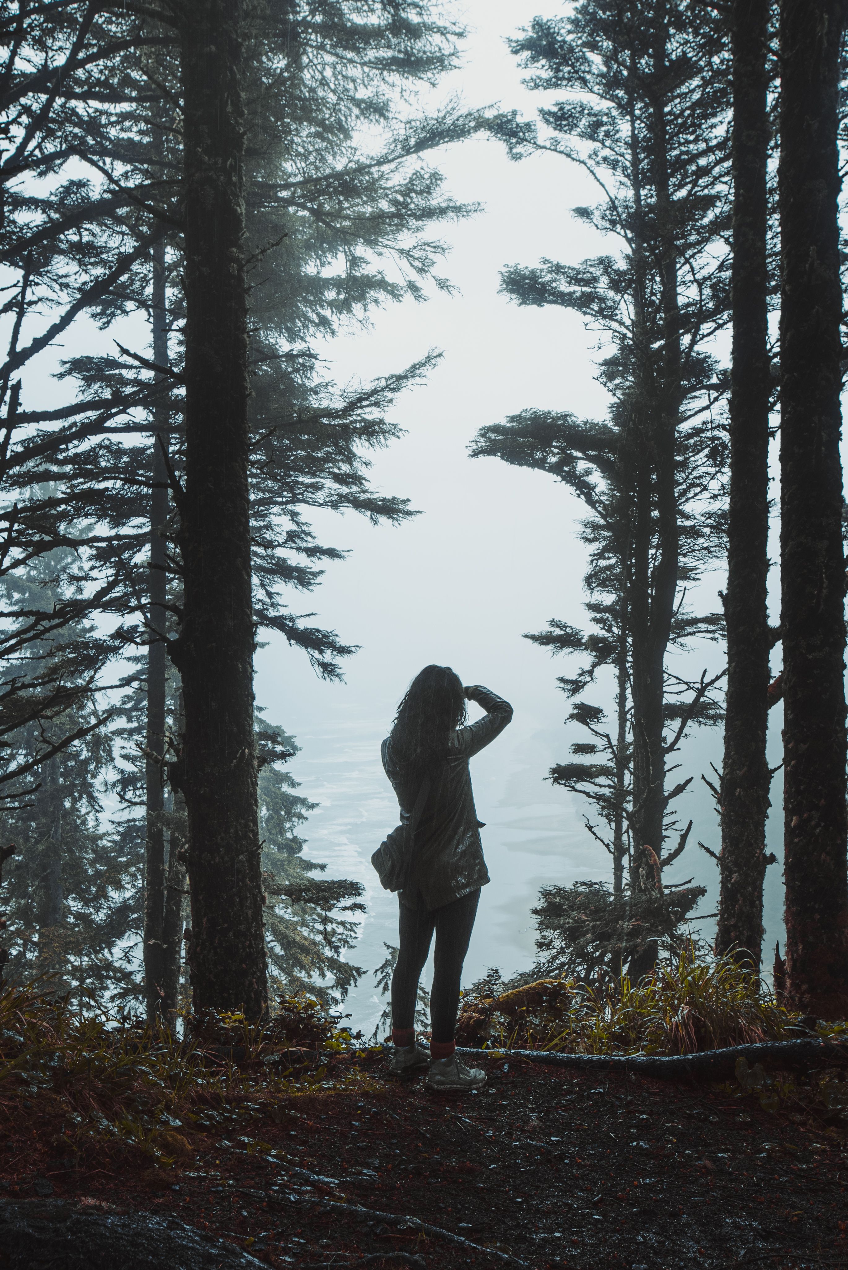 Nordische Landschaft – Wald und Wasser im Morgennebel